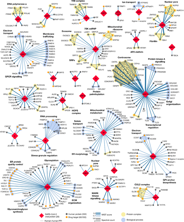 1625645455577732.png 640 (4).png